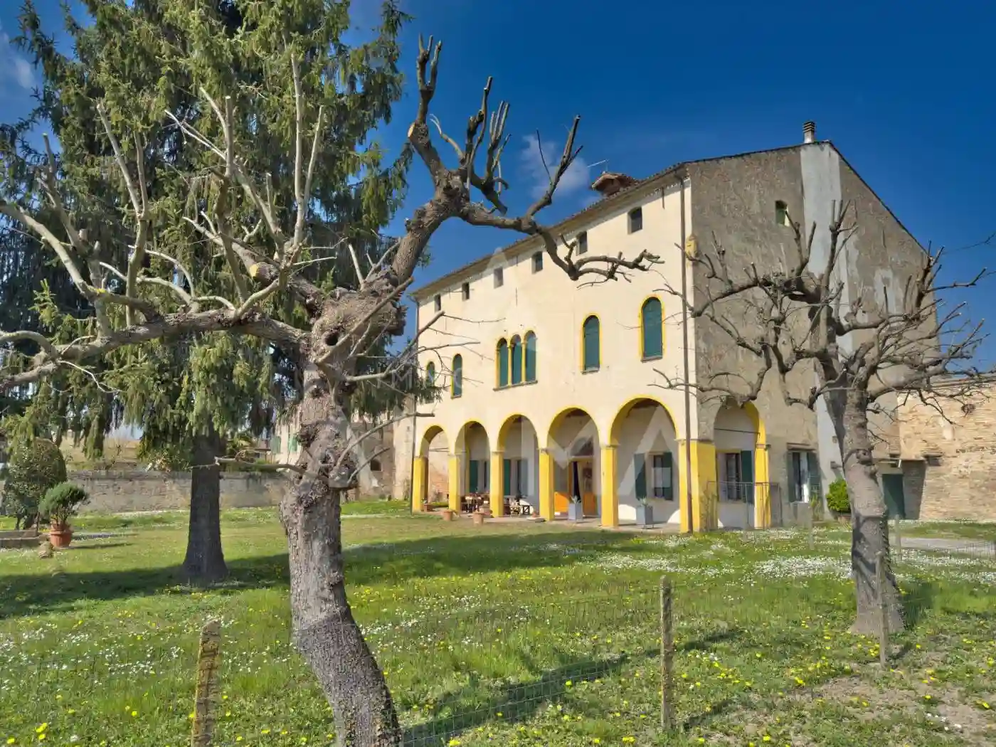 Palazzo - Edificio - foto 4