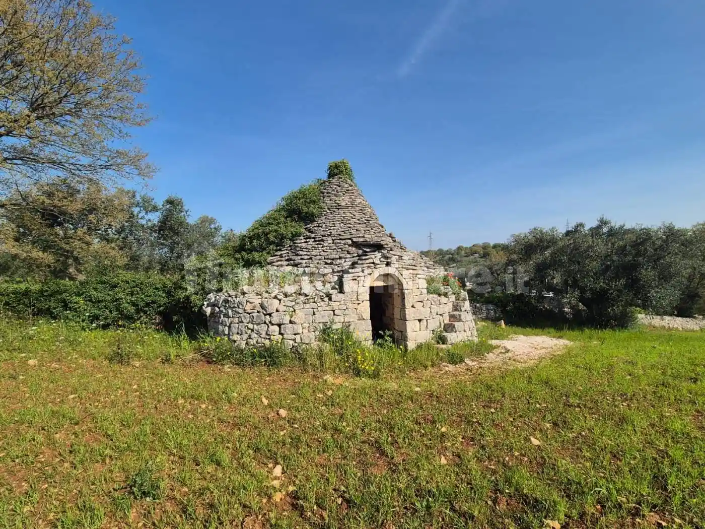 Rustico - Casale in vendita a Cisternino