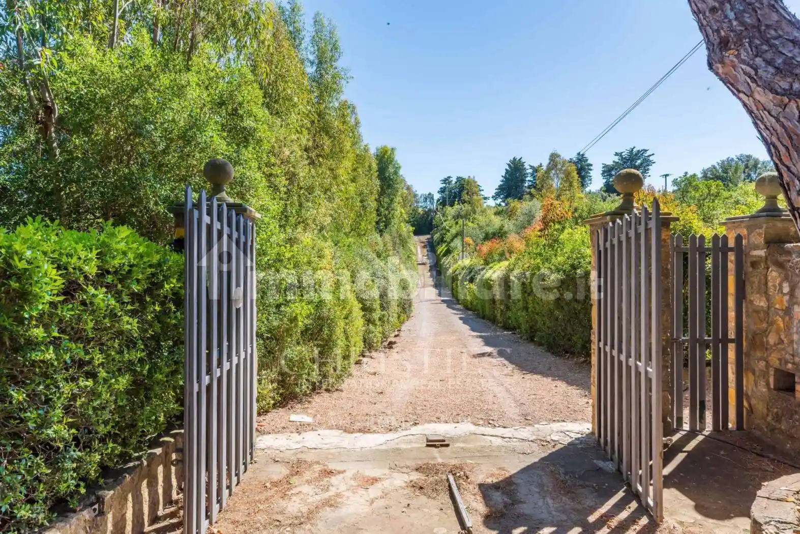 Villa in vendita a Capalbio