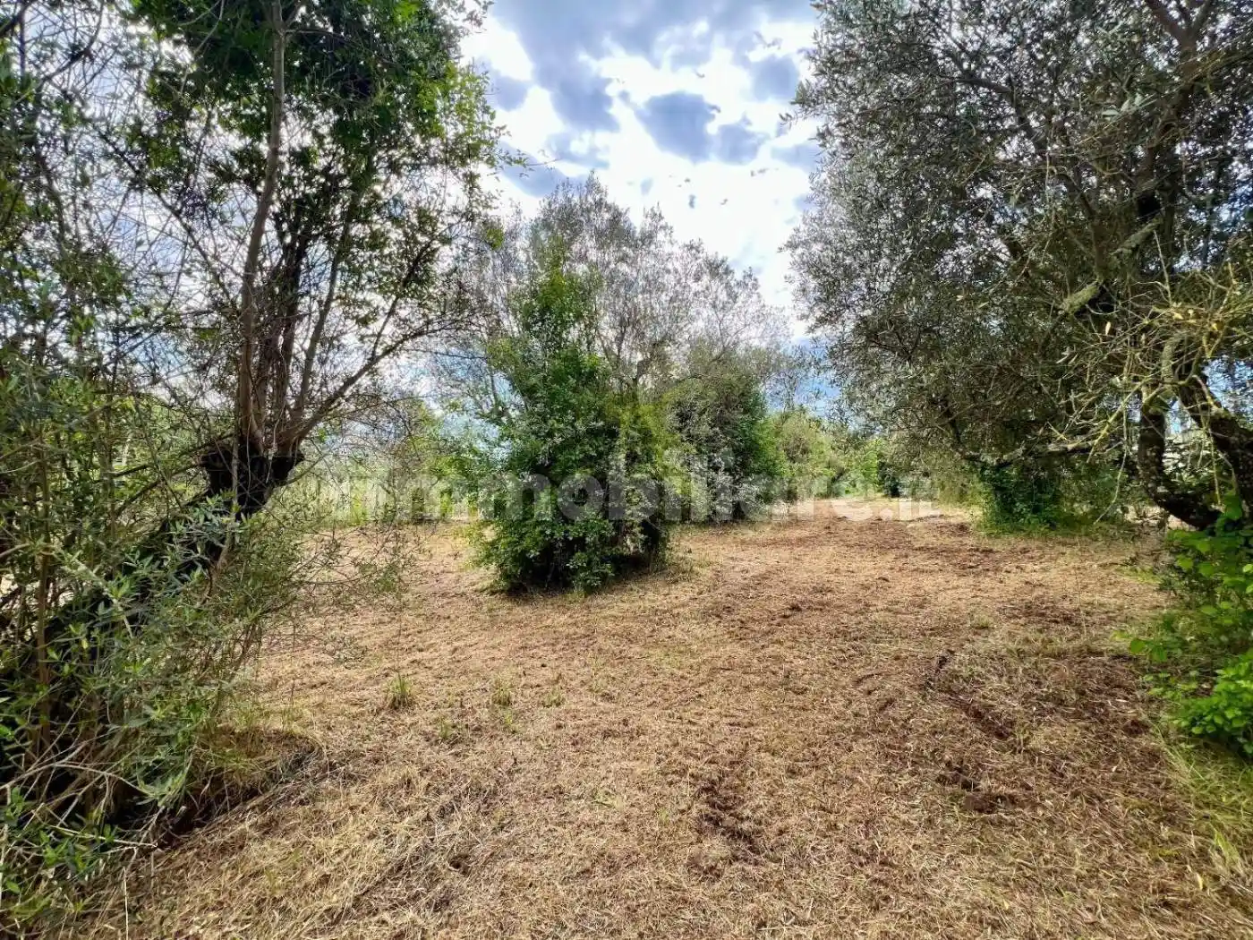 Rustico - Casale in vendita a Poli