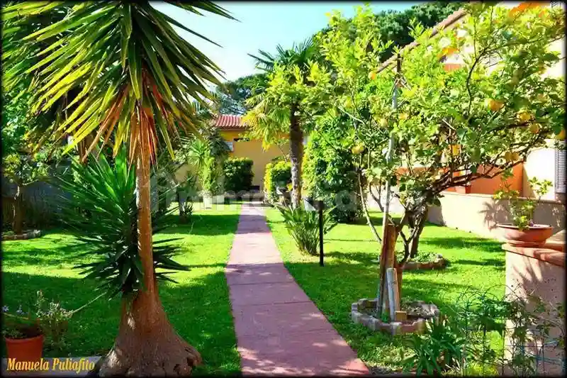 Palazzo - Edificio - foto 2