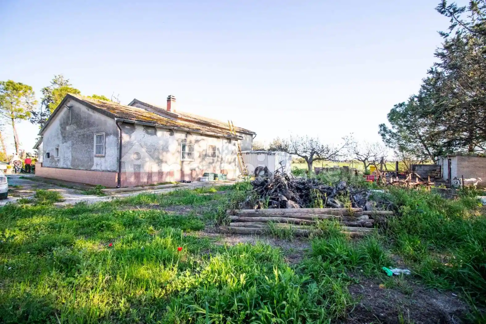 Rustico - Casale in vendita a Lucera