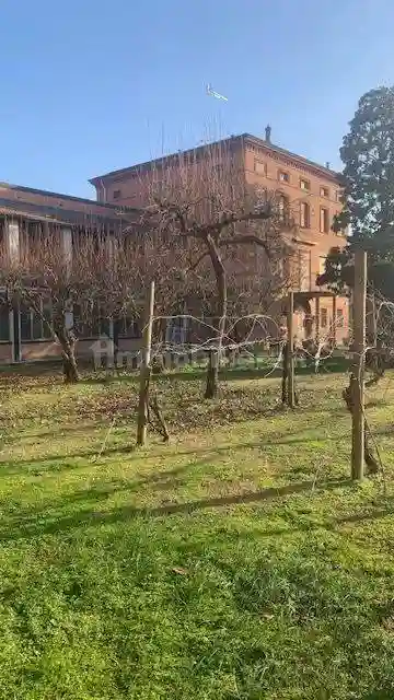 Palazzo - Edificio - foto 3