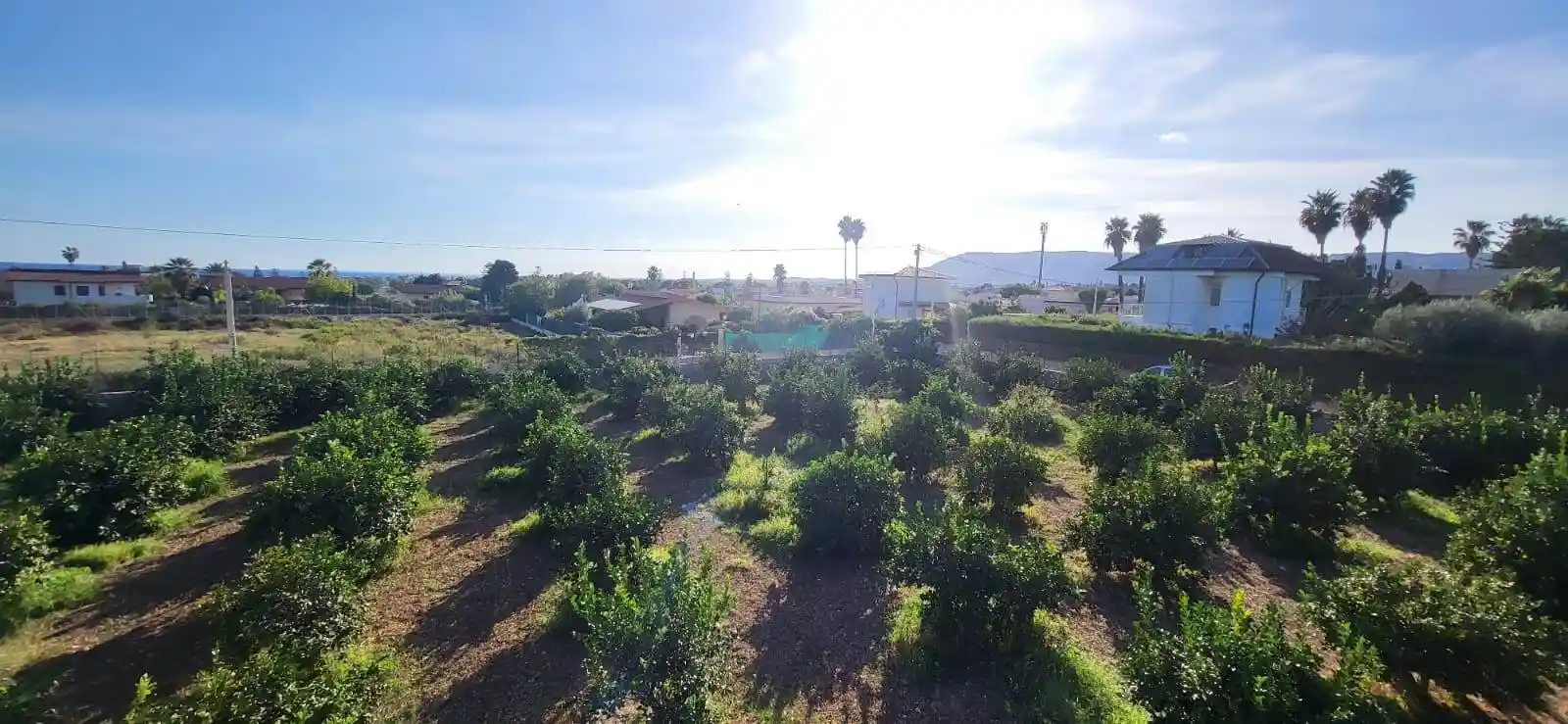 Villa in vendita a Siracusa