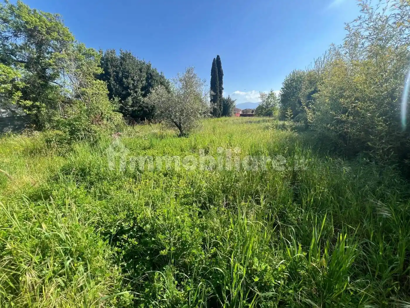 Casa indipendente in vendita a Capannori