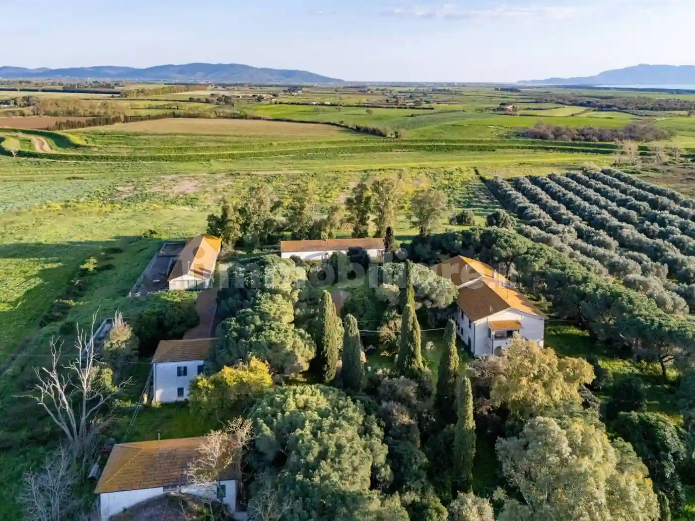 Rustico - Casale - foto 5