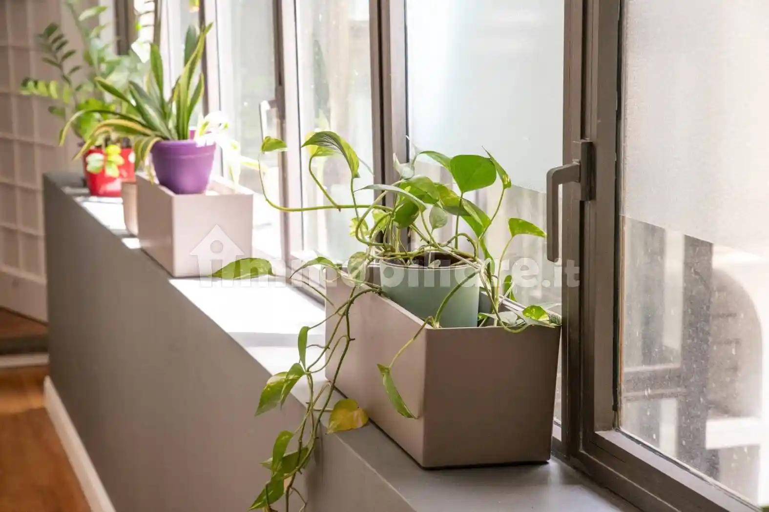 Appartamento in affitto a Roma