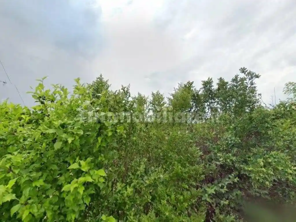 Villa in vendita a Moncalieri