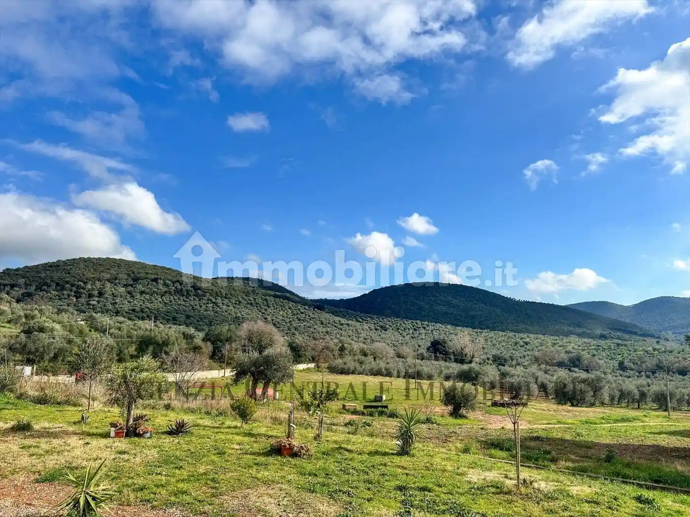 Appartamento in vendita a Grosseto