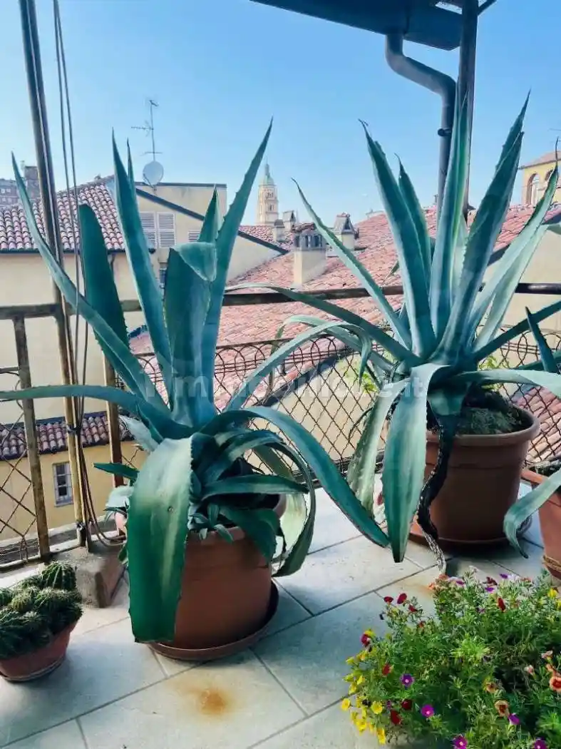 Appartamento in vendita a Piacenza