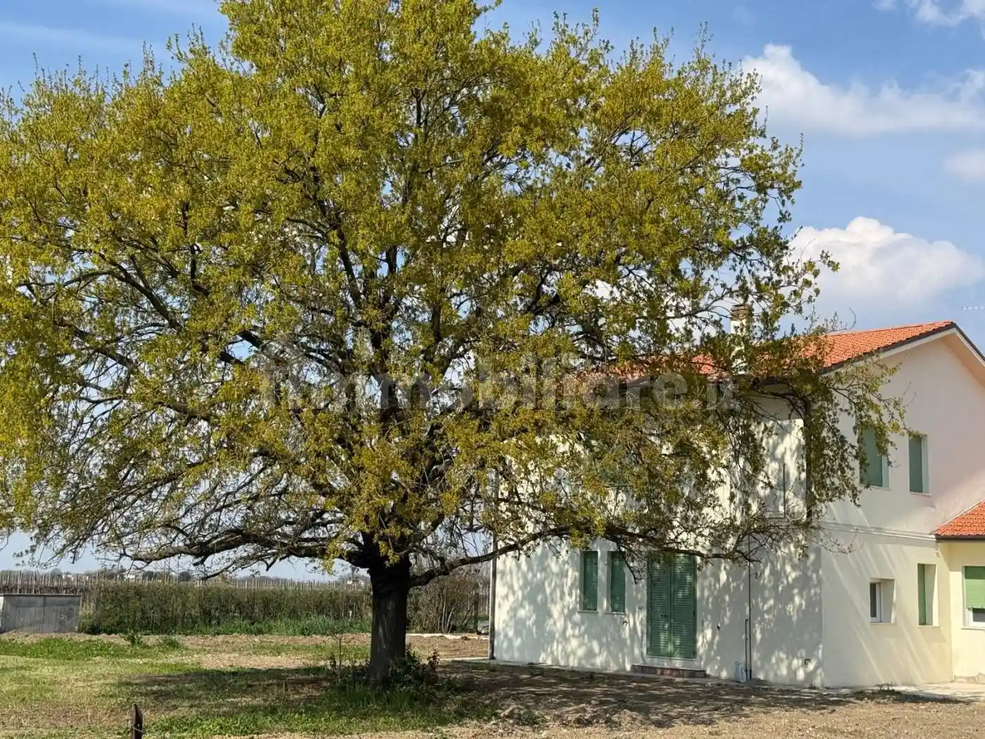 Appartamento in affitto a Imola