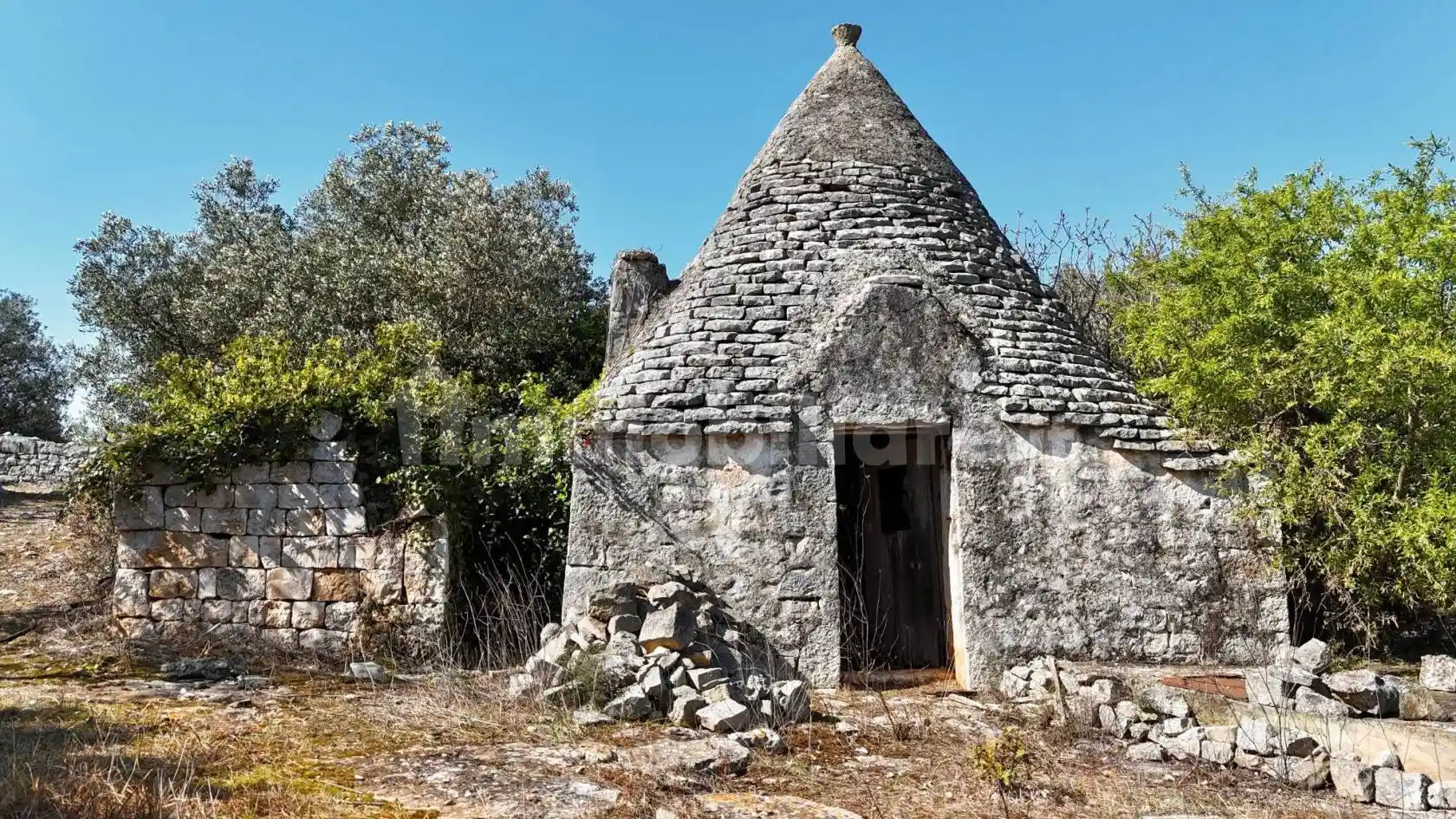 Rustico - Casale in vendita a Monopoli