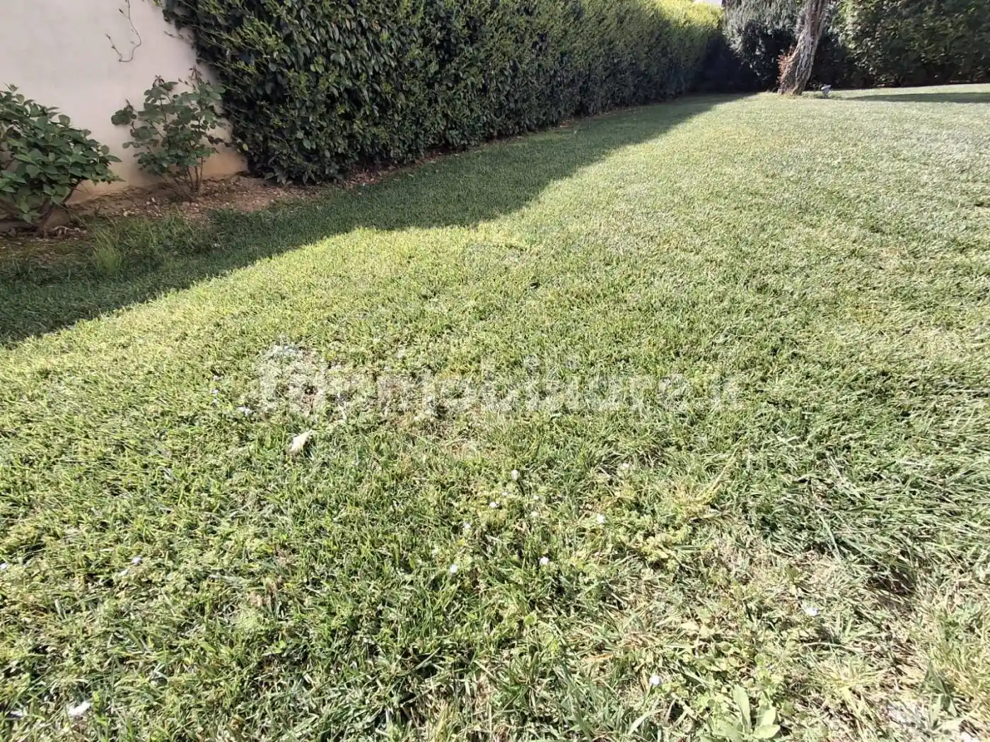 Appartamento in vendita a Pistoia