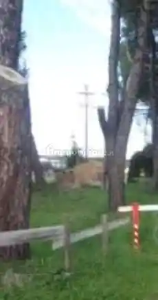 Rustico - Casale in vendita a Castelfranco di Sotto