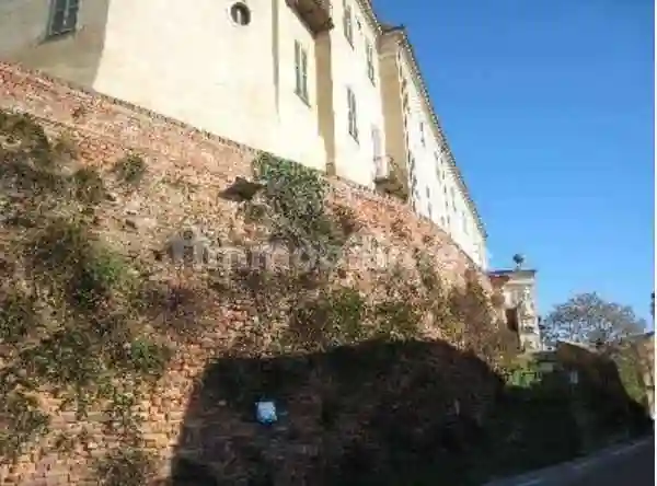 Palazzo - Stabile - foto 5