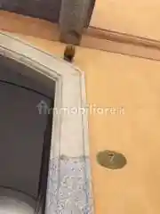 Appartamento in affitto a Novara