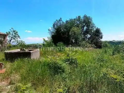 Rustico - Casale in vendita a Ari