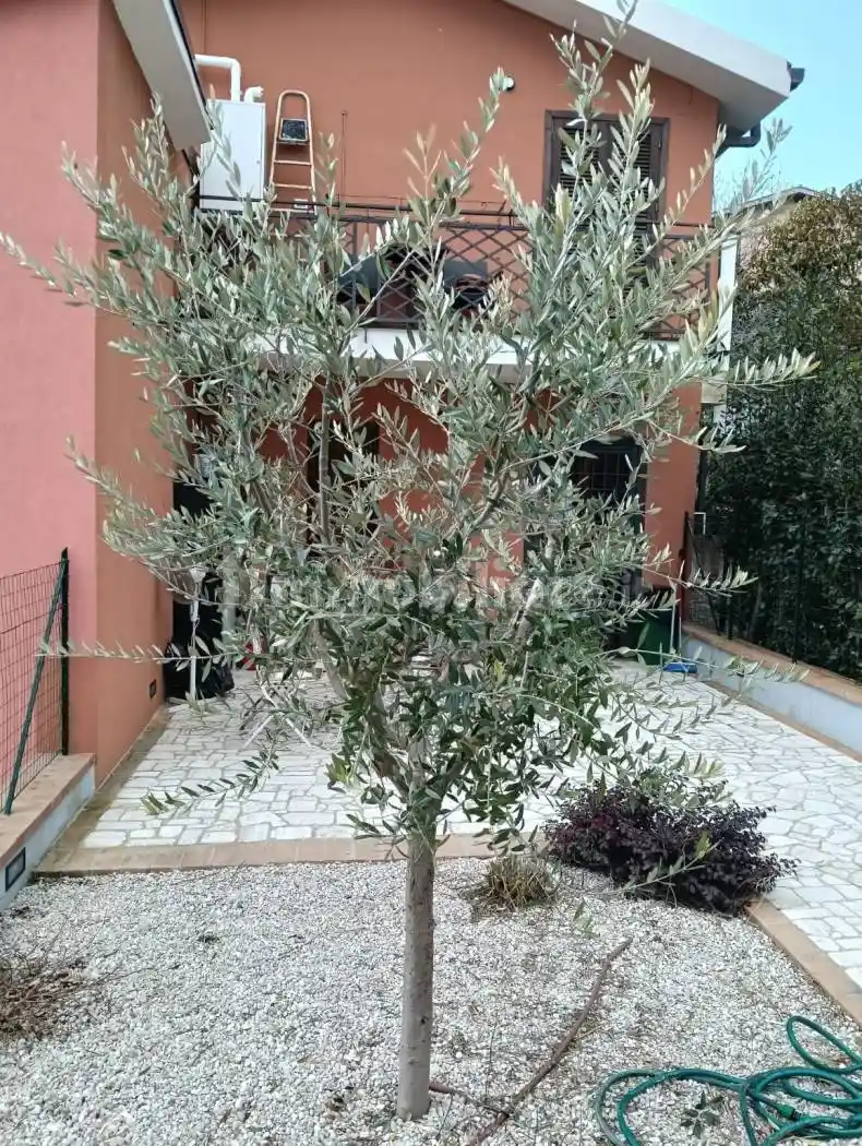 Villetta a schiera in vendita a Montecastrilli