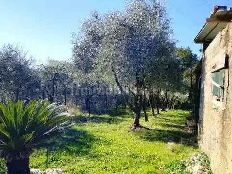 Rustico - Casale in vendita a Fabrica di Roma