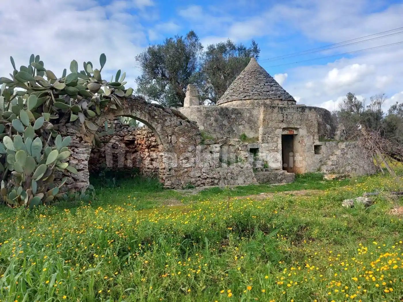 Rustico - Casale in vendita a San Michele Salentino