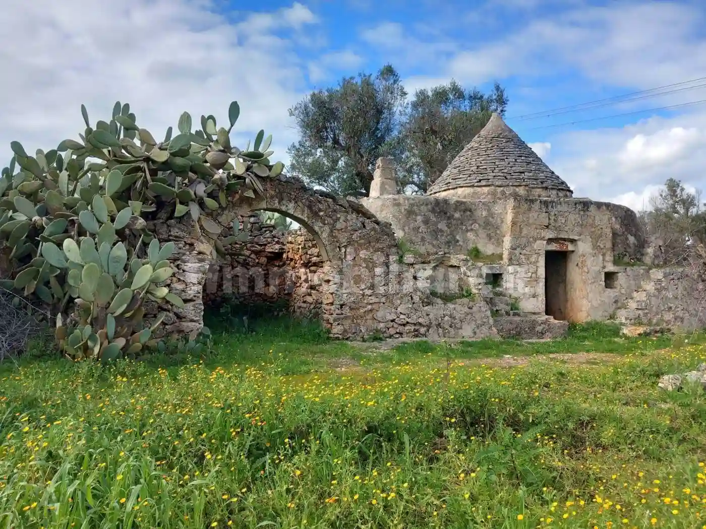 Rustico - Casale - foto 2