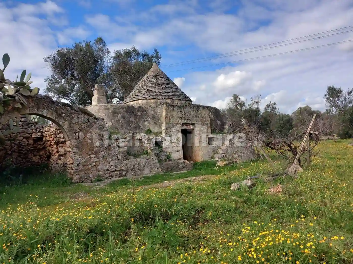 Rustico - Casale - foto 3