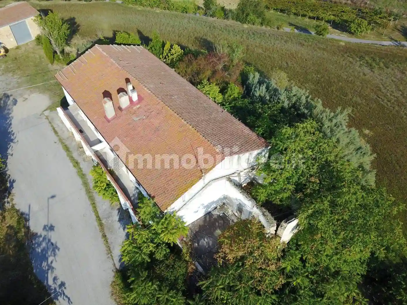 Rustico - Casale - foto 3