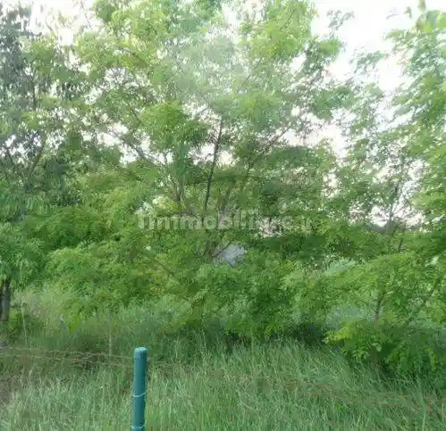 Rustico - Casale in vendita a Maranello