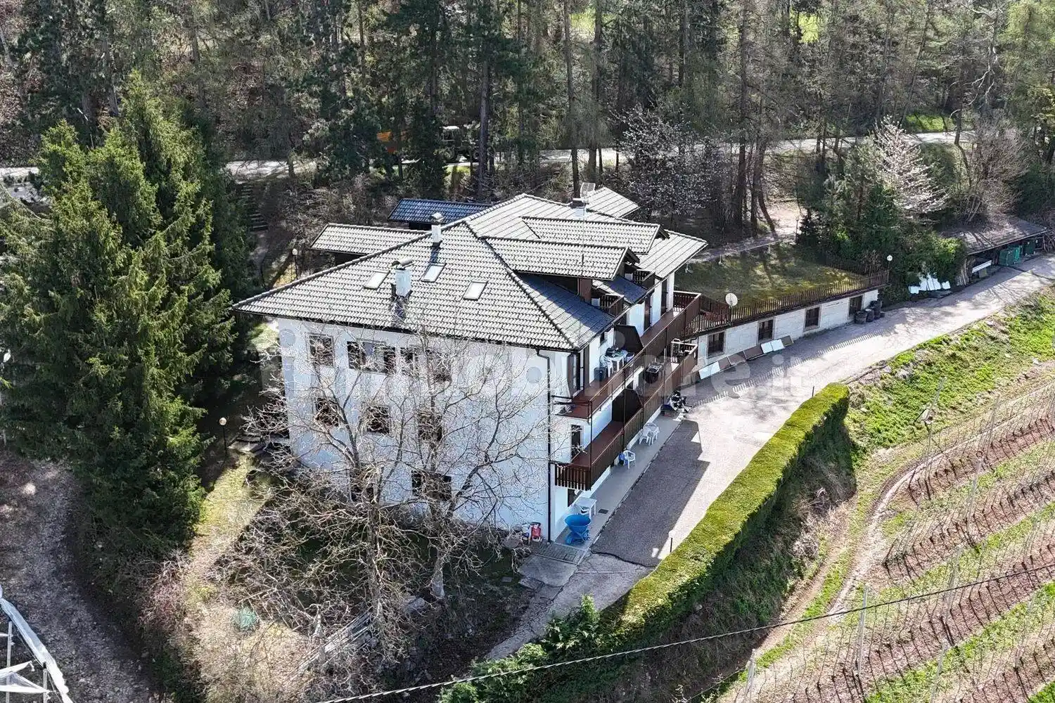 Appartamento in vendita a Predaia