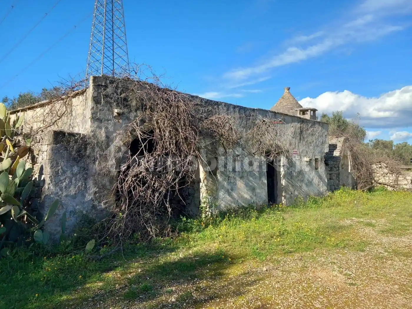Rustico - Casale in vendita a San Michele Salentino