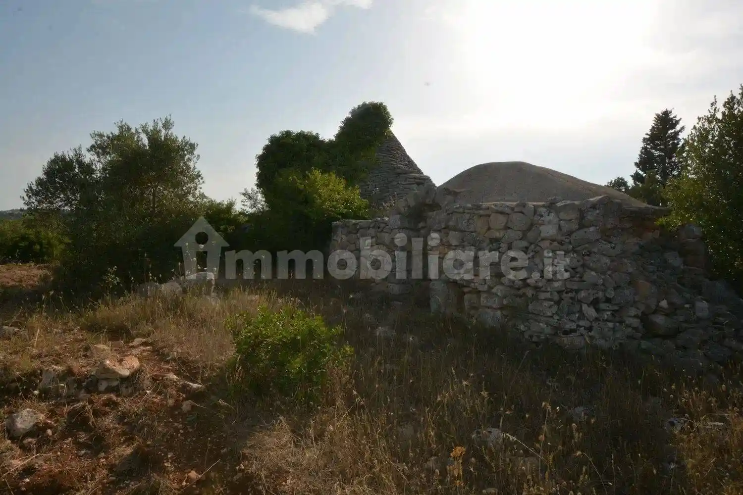 Rustico - Casale in vendita a Ceglie Messapica