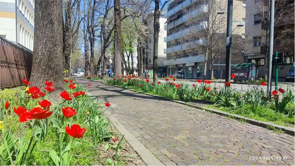Appartamento in affitto a Venezia