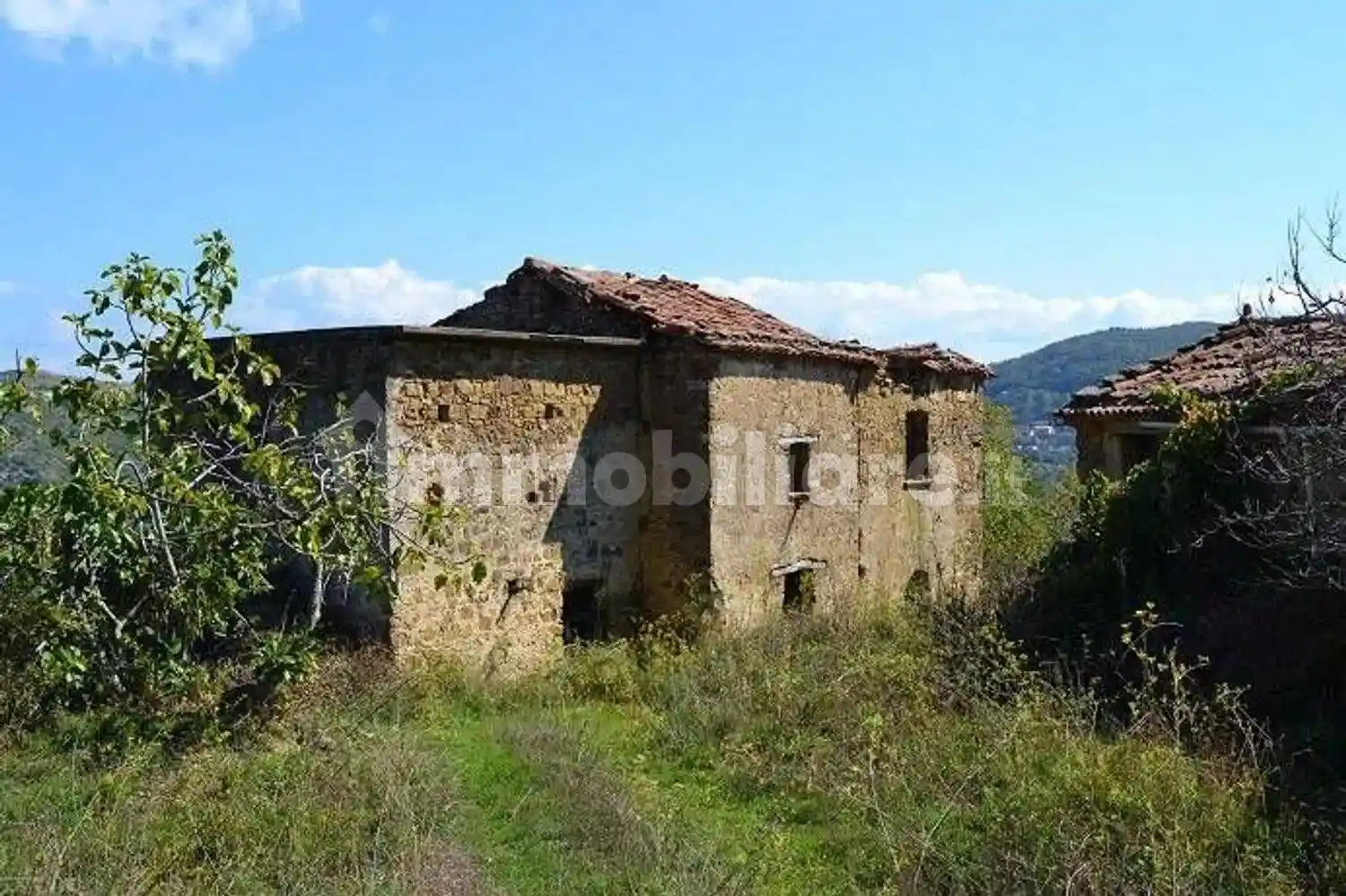 Rustico - Casale in vendita a San Mauro Cilento