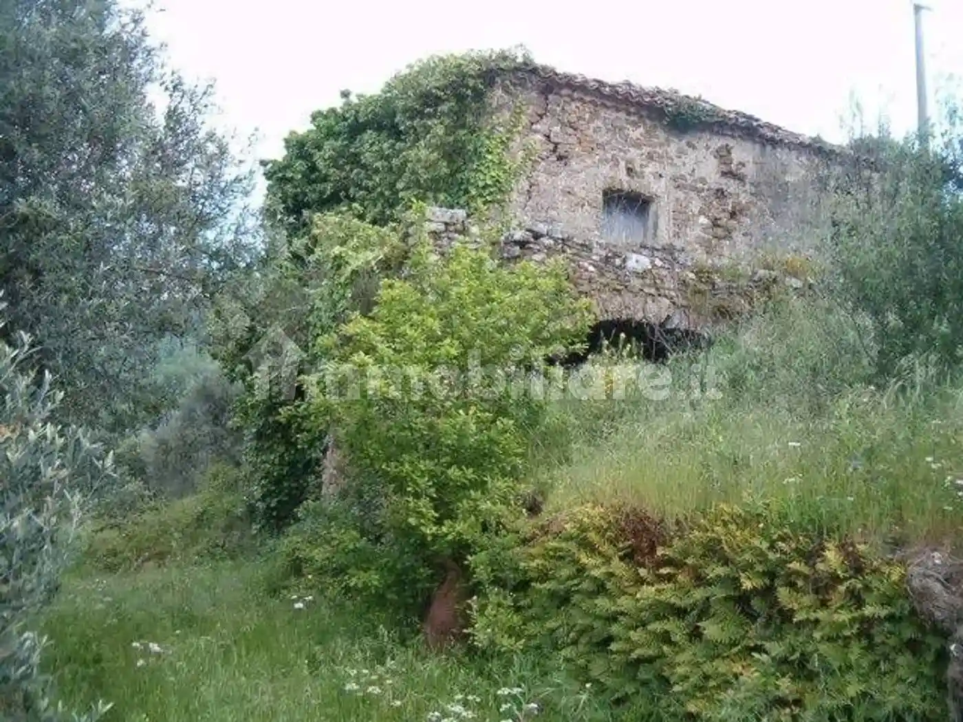Rustico - Casale in vendita a San Mauro Cilento