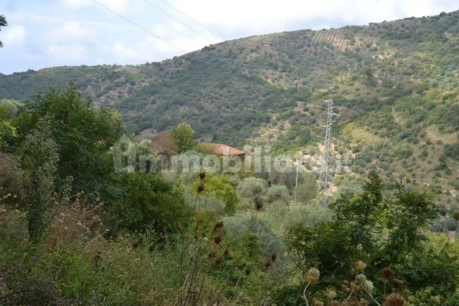 Rustico - Casale in vendita a San Mauro Cilento
