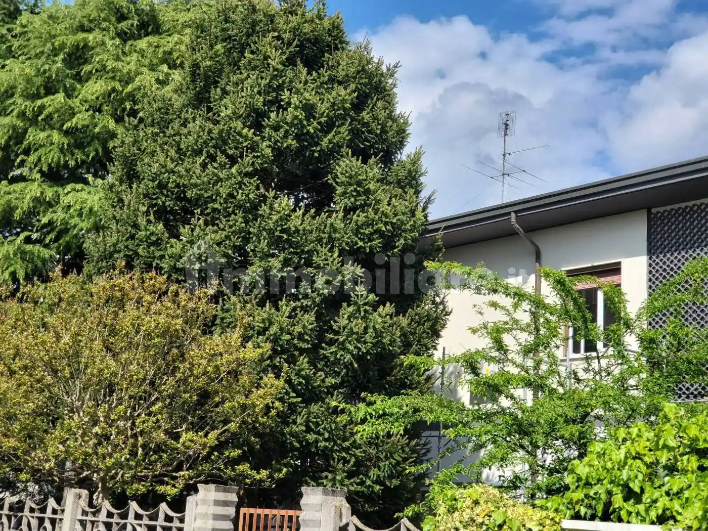 Villa in affitto a Dairago
