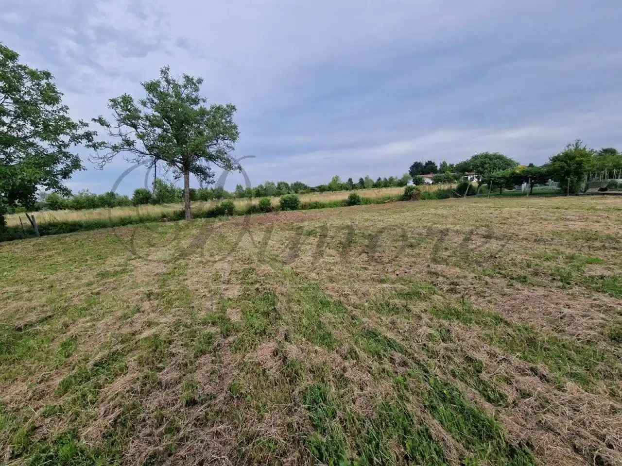 Villa in vendita a Pianiga