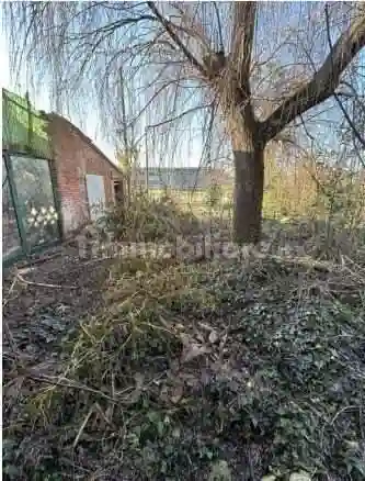 Palazzo - Stabile - foto 4