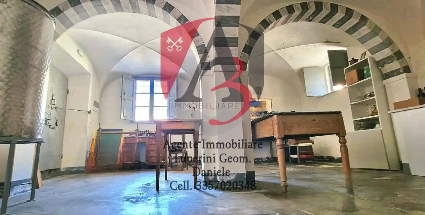 Rustico - Casale in vendita a Calci