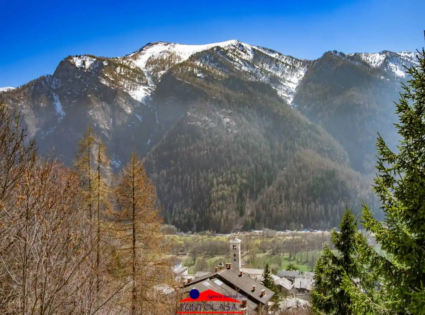 Appartamento in affitto a Casteldelfino