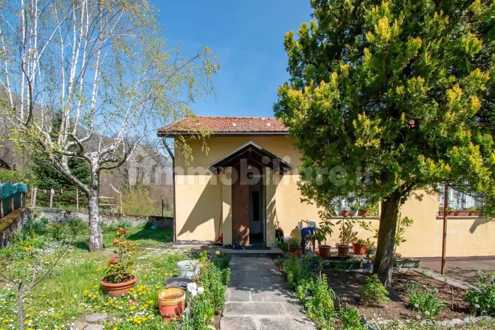 Rustico - Casale - foto 5