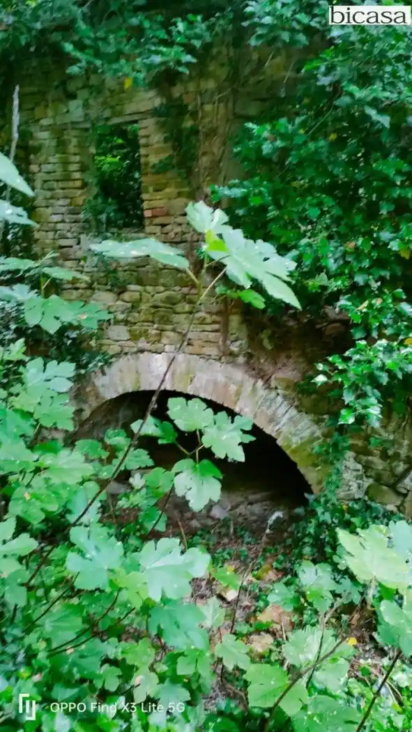 Rustico - Casale in vendita a Mombaroccio