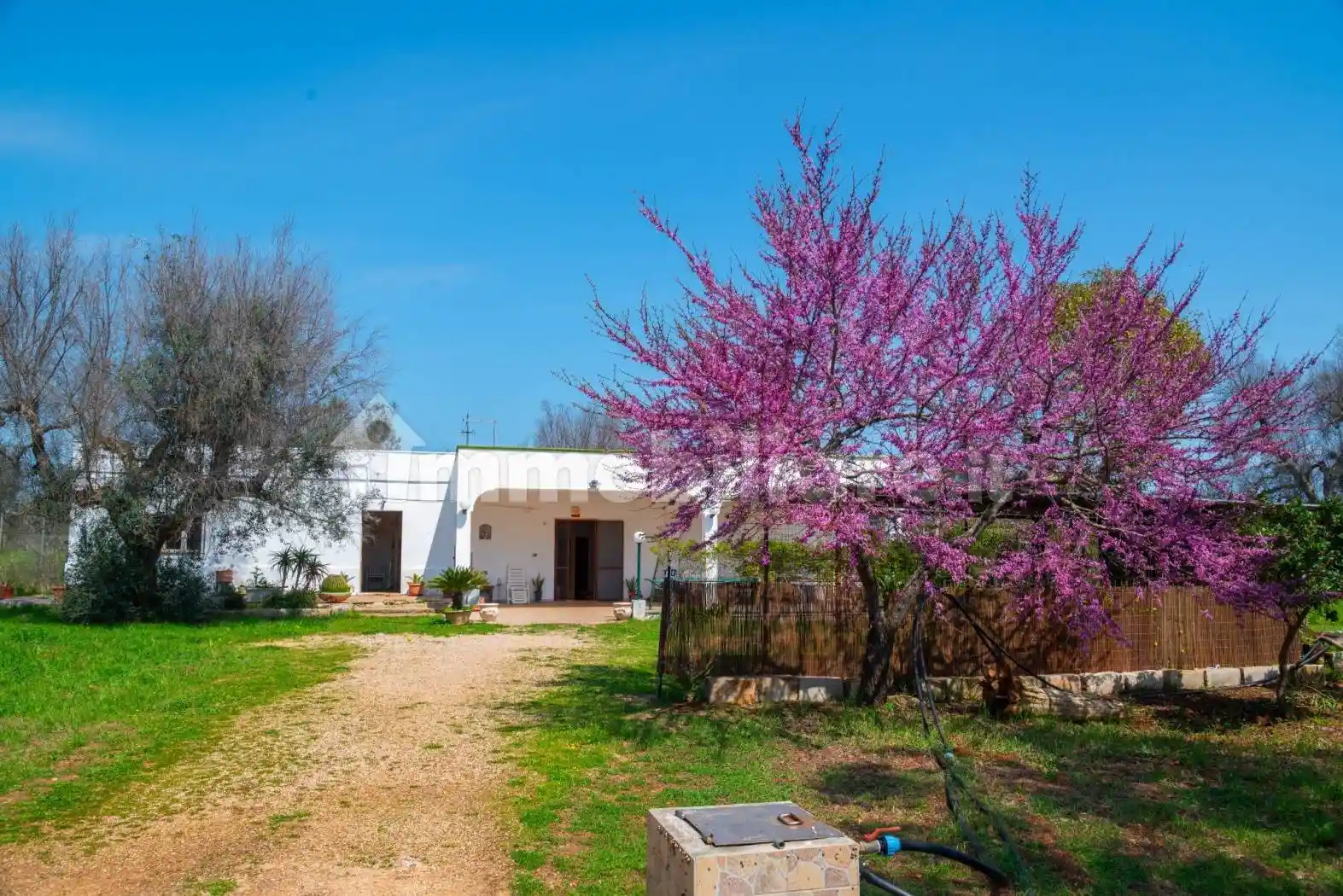 Villa in vendita a San Vito dei Normanni