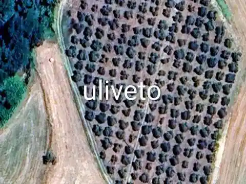 Villa in vendita a Orvieto