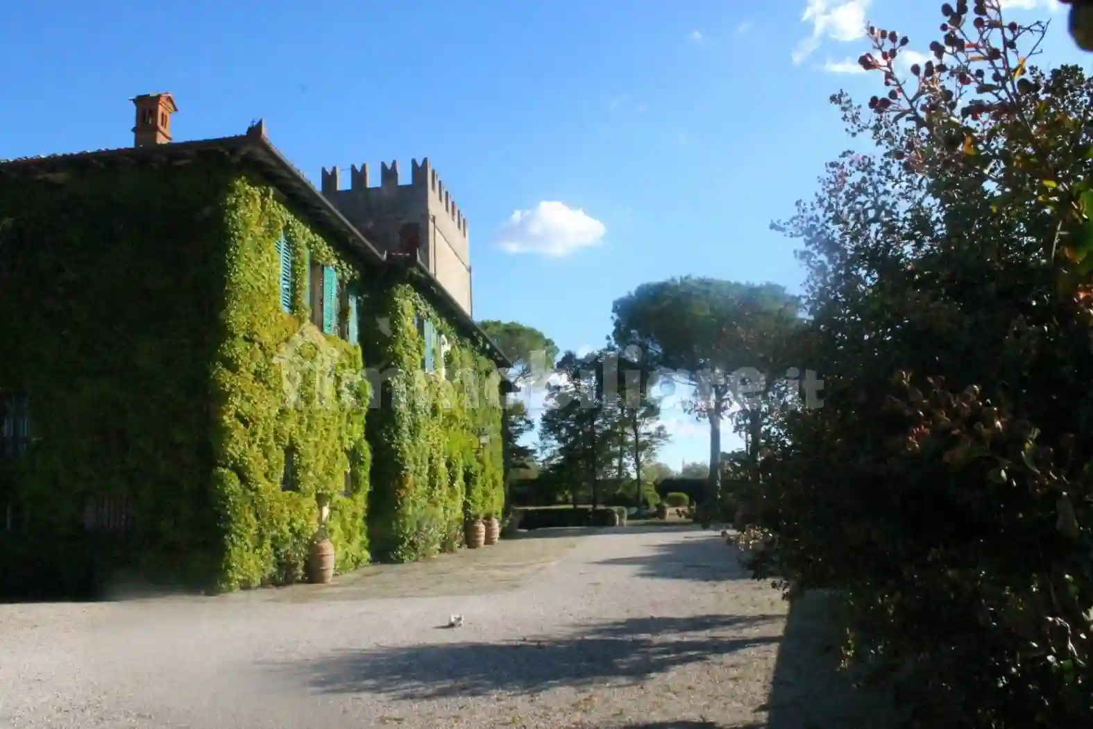 Palazzo - Edificio - foto 2