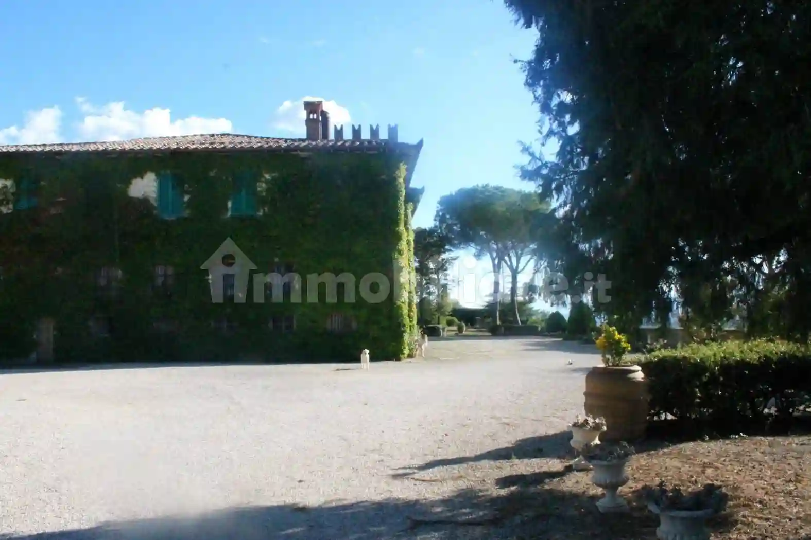 Palazzo - Edificio - foto 5