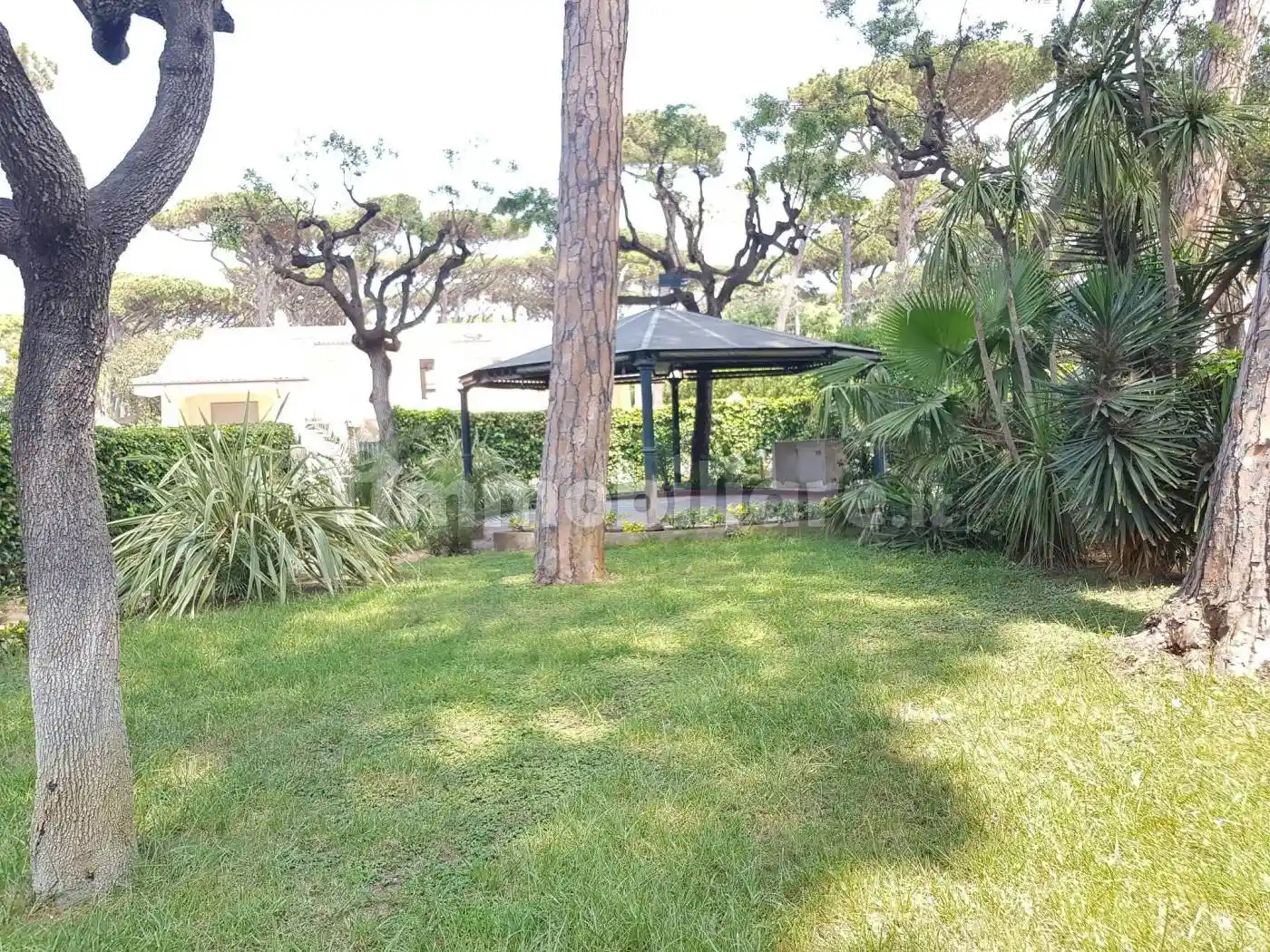 Villa in affitto a Fiumicino