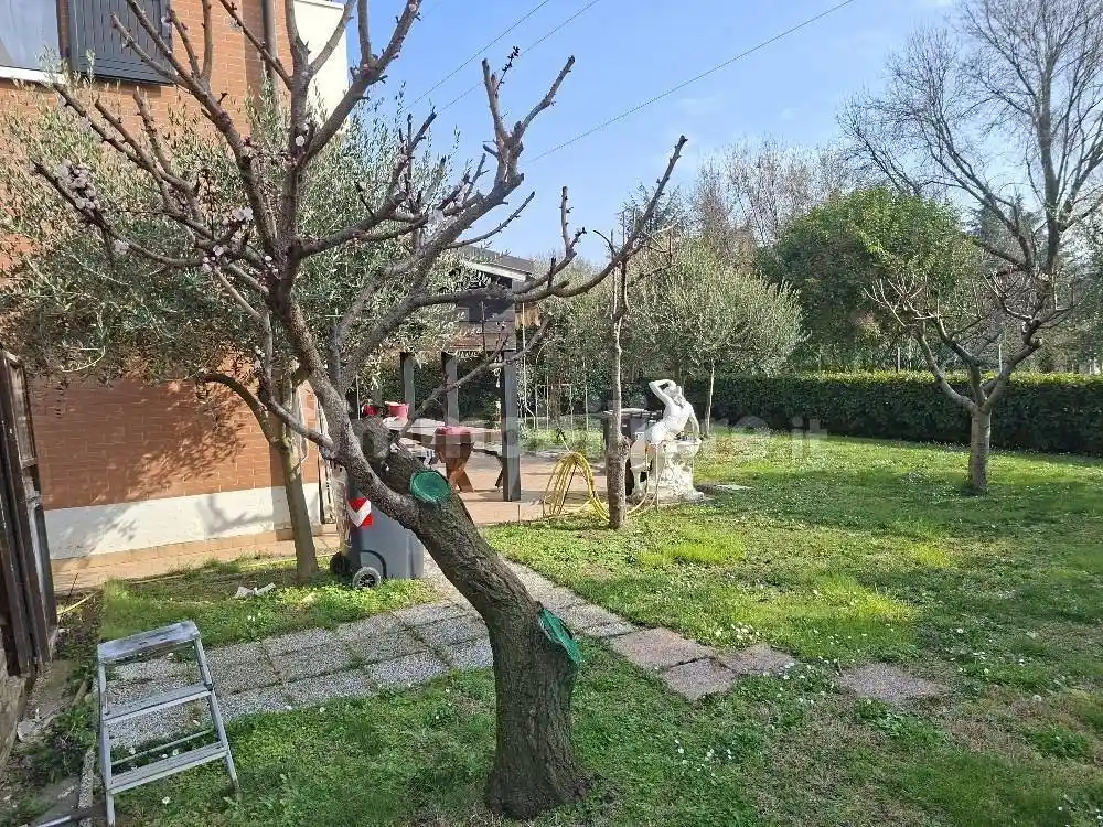 Appartamento in vendita a Sasso Marconi