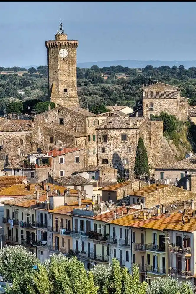 Appartamento in affitto a Marta