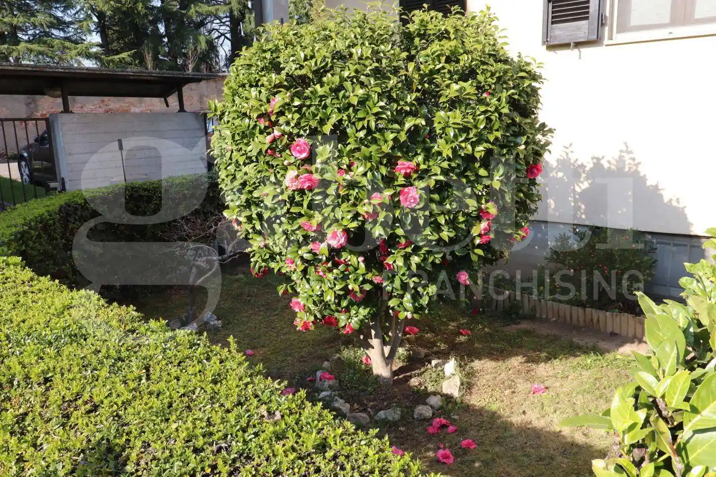 Villetta a schiera in vendita a Mozzate